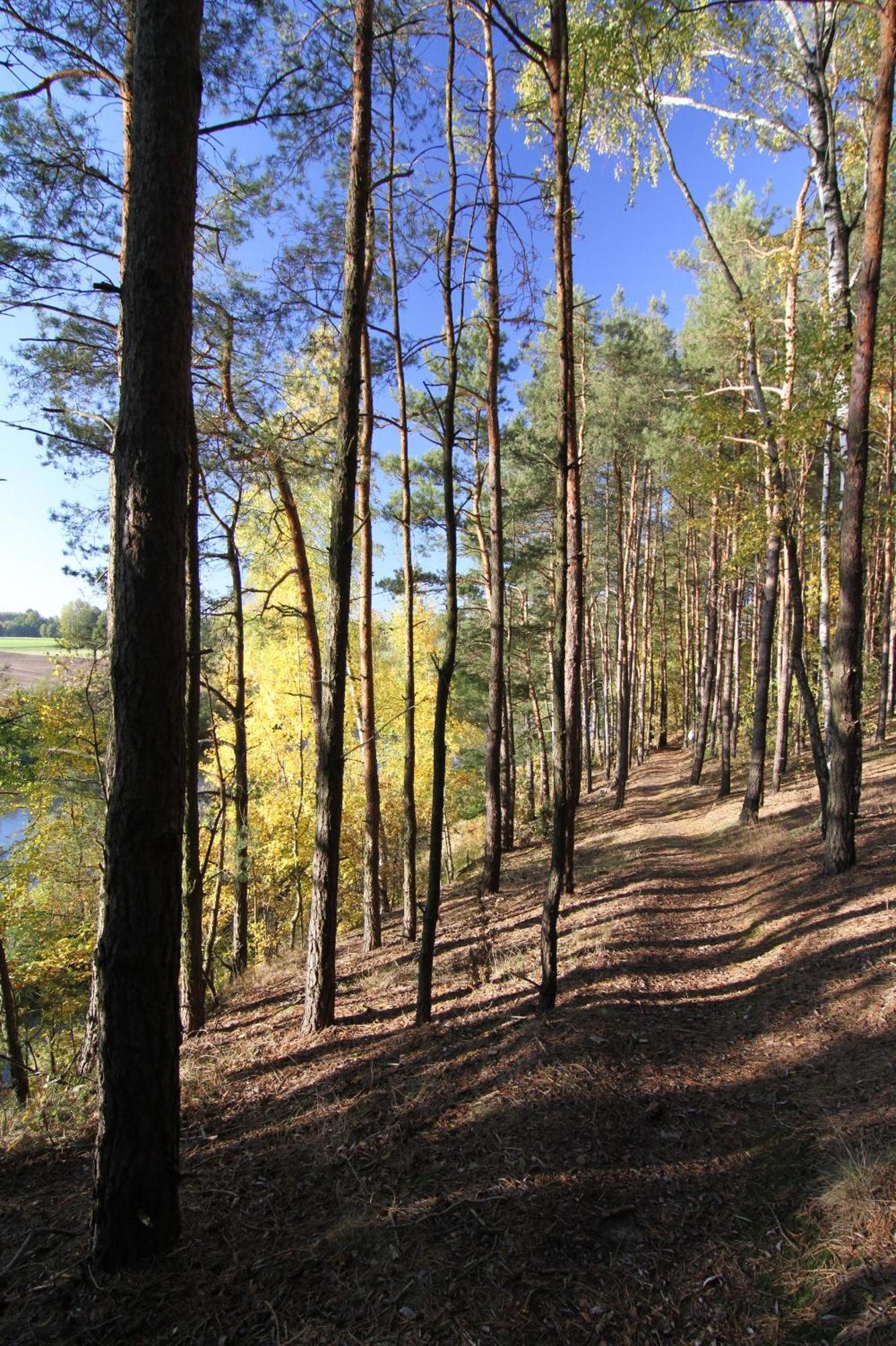 Osada Osjaków Exteriér fotografie